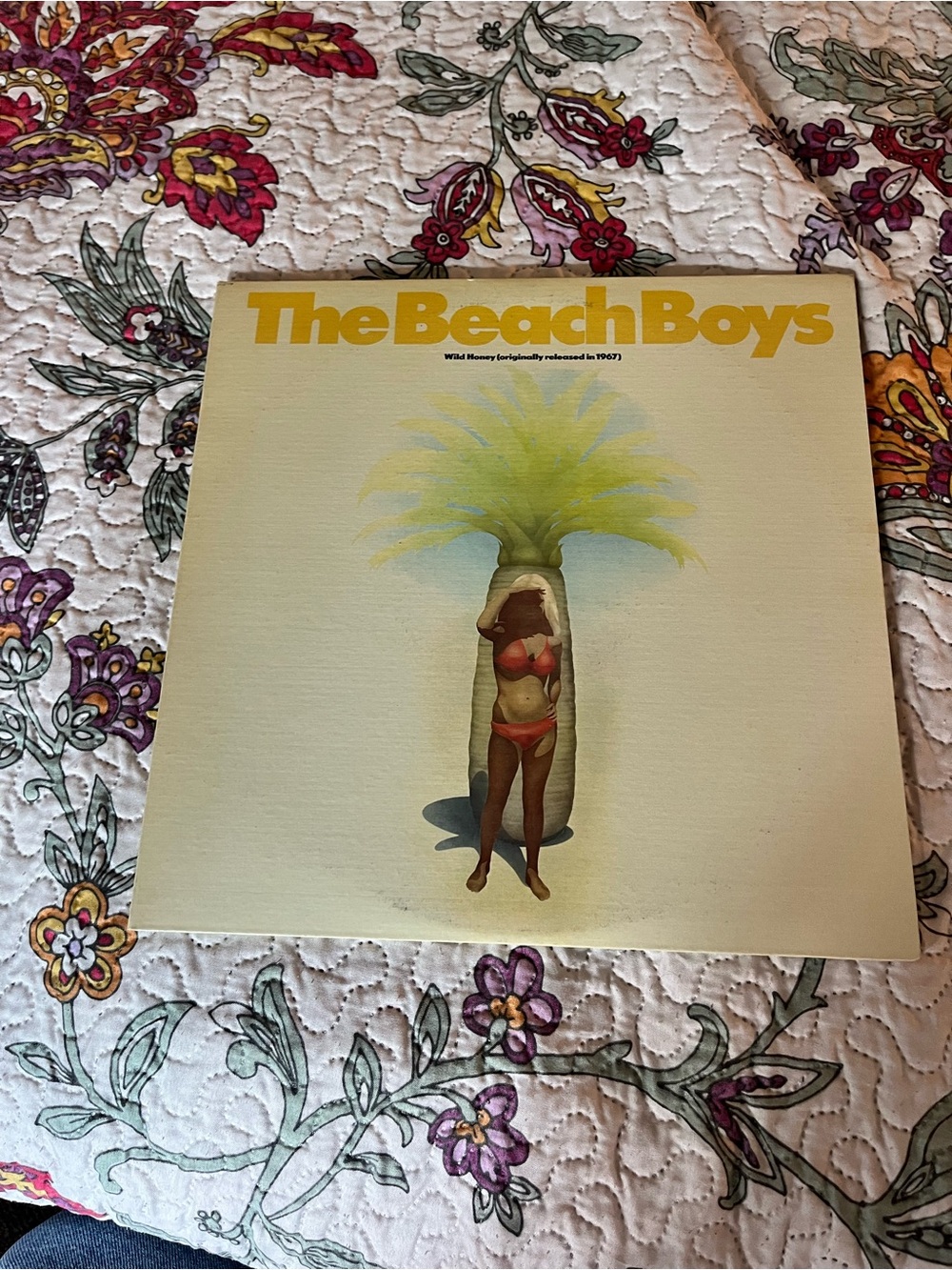The Beach Boys Wild Honey 2Lp Album Vinyl Record Excellent- Music - 675